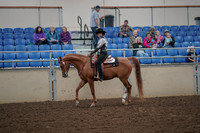 2019 Morgan Horse Show - Aug 30, 2019 - 25865