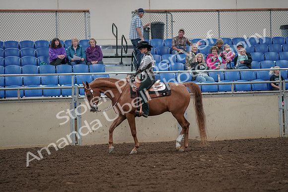 2019 Morgan Horse Show - Aug 30, 2019 - 25865