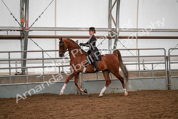 July 19, 2019 - 10336
