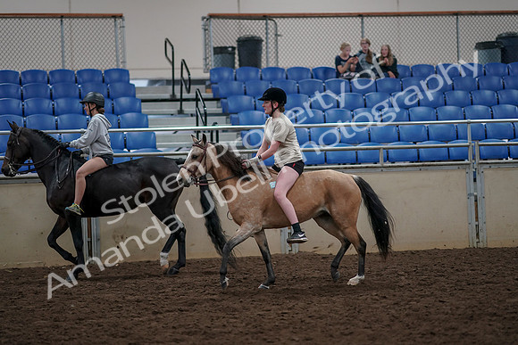 2019 Morgan Horse Show - Aug 30, 2019 - 31222