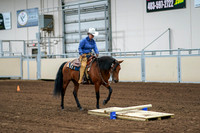 2020 - AB Morgan Horse - Fri, Sept 04 - 00222