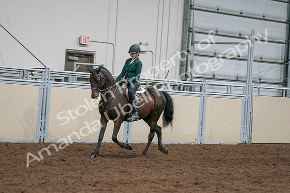 2020 - AB Morgan Horse - Sat, Sept 05 - 05030