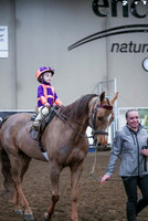 Spring Fling - Saturday - April 20, 2019  -  00006