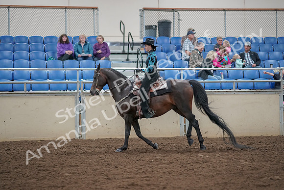 2019 Morgan Horse Show - Aug 30, 2019 - 26086