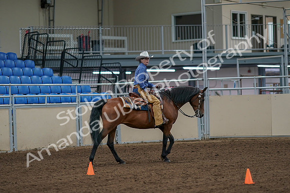 2020 - AB Morgan Horse - Fri, Sept 04 - 00294