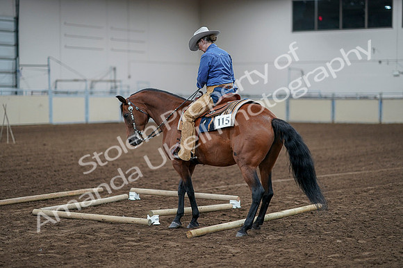 2020 - AB Morgan Horse - Fri, Sept 04 - 00281