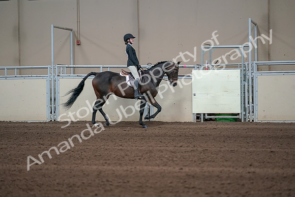 2019 Morgan Horse Show - Sept 01, 2019 - 03799