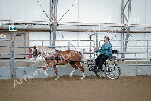 July 21, 2019 - 06691