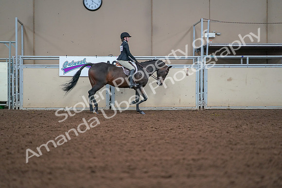 2019 Morgan Horse Show - Aug 30, 2019 - 20695