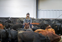 Herd Work - Rein Box Futurity