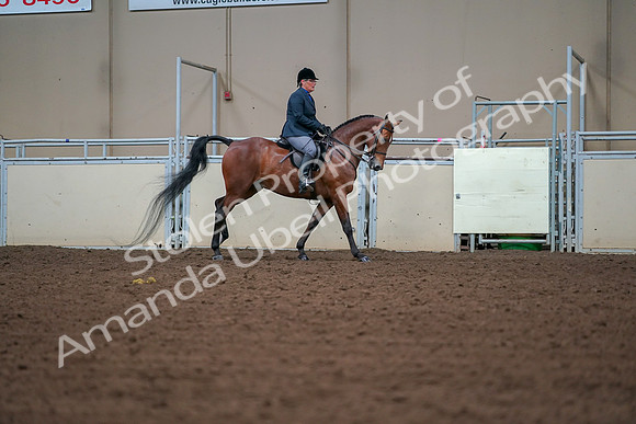 2019 Morgan Horse Show - Aug 30, 2019 - 20983