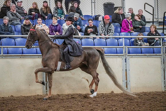 Spring Fling - Saturday - April 20, 2019  -  04135