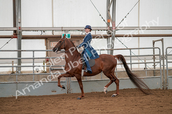 July 20, 2019 - 02129