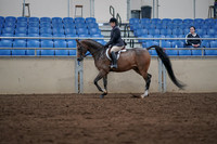 2019 Morgan Horse Show - Sept 01, 2019 - 08513