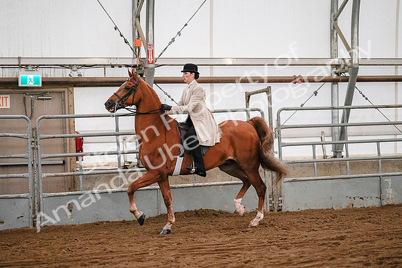 July 19, 2019 - 9027