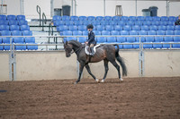 2019 Morgan Horse Show - Sept 01, 2019 - 05491
