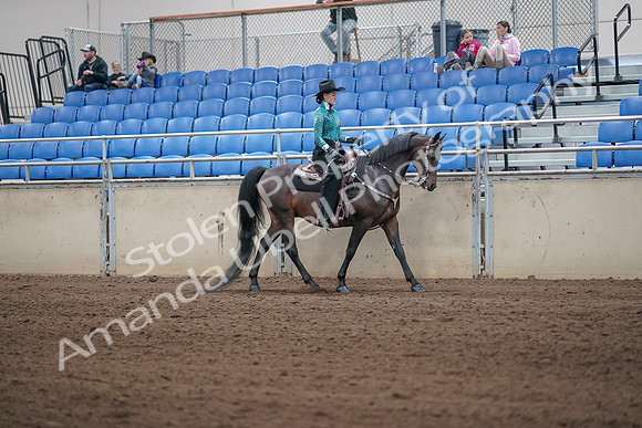 2019 Morgan Horse Show - Sept 01, 2019 - 07096