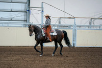 2020 - AB Morgan Horse - Fri, Sept 04 - 00404
