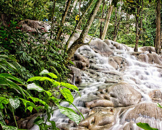 Jamaica - 028