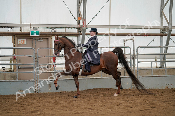 July 20, 2019 - 02240