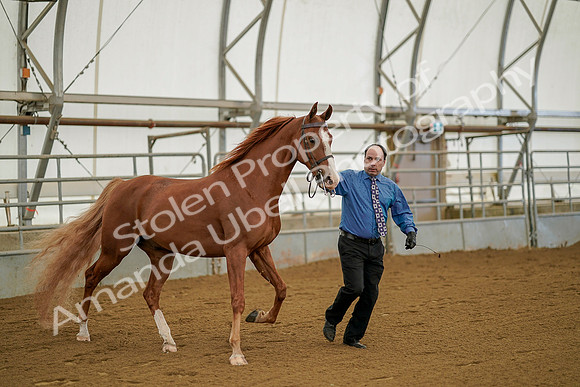 July 19, 2019 - 887