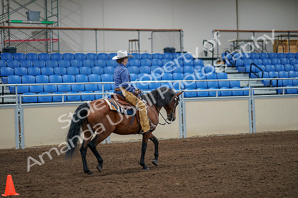 2020 - AB Morgan Horse - Fri, Sept 04 - 00291