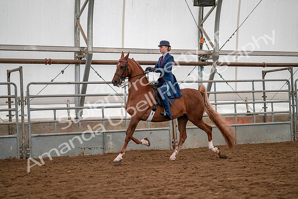 July 19, 2019 - 10356