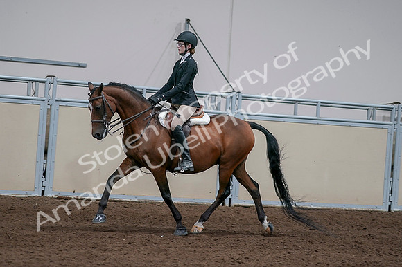 2020 - AB Morgan Horse - Fri, Sept 04 - 05933