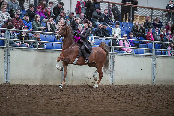 Spring Fling - Saturday - April 20, 2019  -  00470