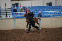 2019 Morgan Horse Show - Aug 30, 2019 - 24659