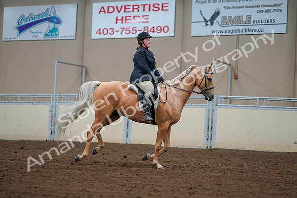 2019 Morgan Horse Show - Aug 30, 2019 - 16424