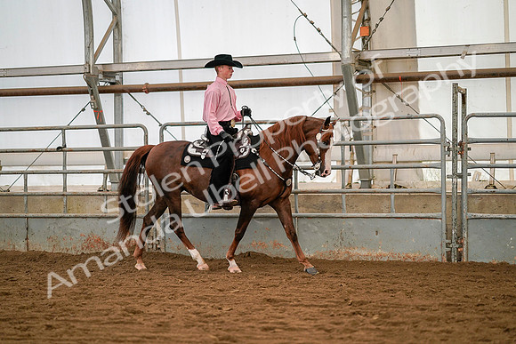 July 19, 2019 - 10137