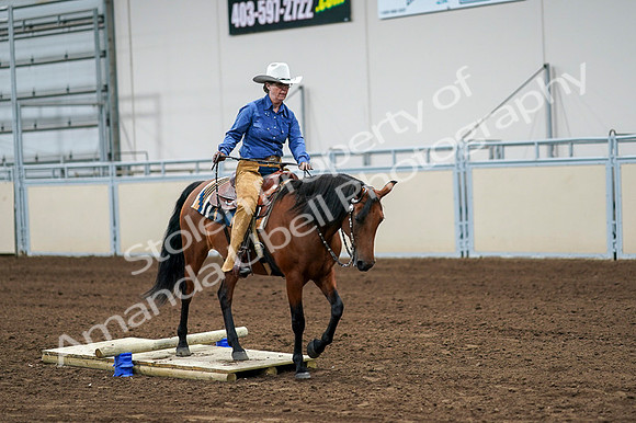 2020 - AB Morgan Horse - Fri, Sept 04 - 00242