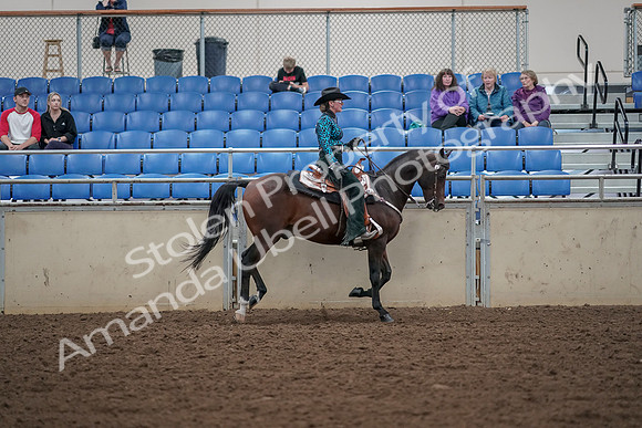 2019 Morgan Horse Show - Aug 30, 2019 - 26191