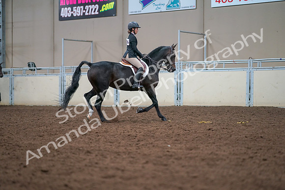 2019 Morgan Horse Show - Aug 30, 2019 - 20951
