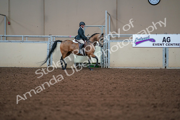 2019 Morgan Horse Show - Aug 30, 2019 - 20796