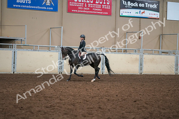 2019 Morgan Horse Show - Aug 30, 2019 - 12190