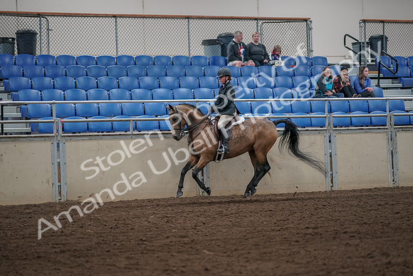 2019 Morgan Horse Show - Aug 31, 2019 - 05015