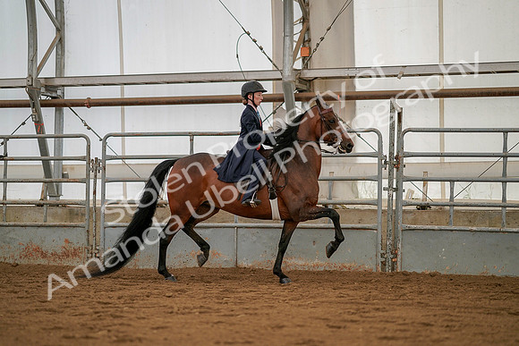 July 19, 2019 - 4029
