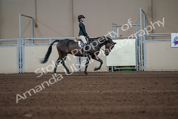 2019 Morgan Horse Show - Sept 01, 2019 - 03861