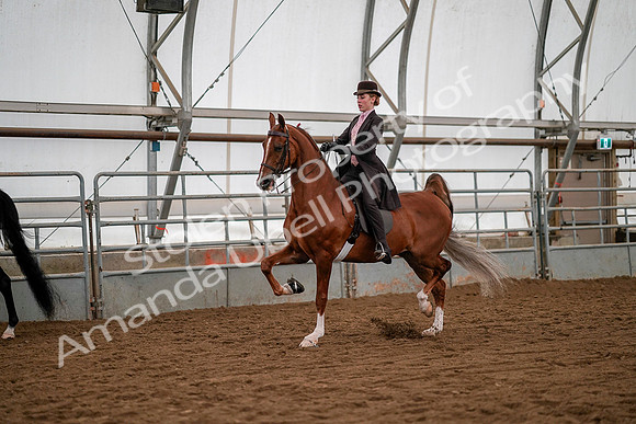 July 19, 2019 - 10495