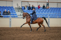 2020 - AB Morgan Horse - Sat, Sept 05 - 09705