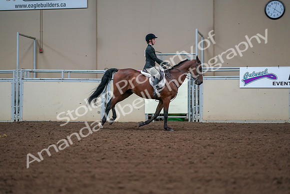2019 Morgan Horse Show - Aug 30, 2019 - 21042