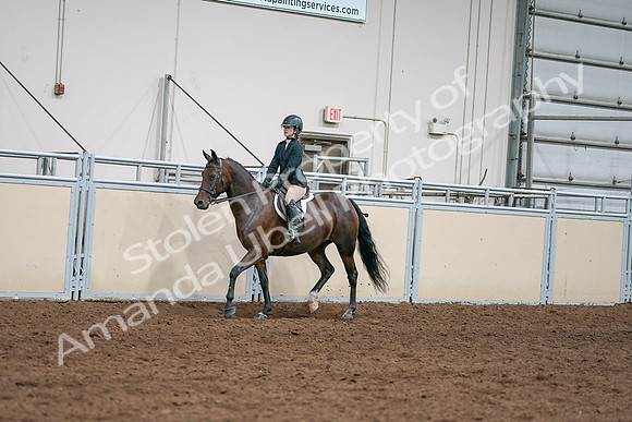 2020 - AB Morgan Horse - Sat, Sept 05 - 04952