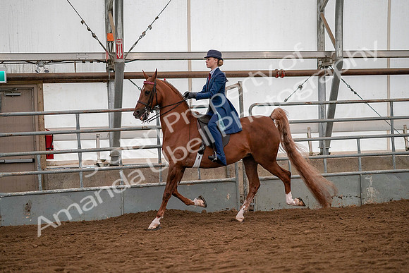 July 19, 2019 - 10232