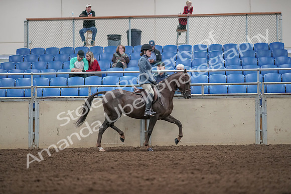 2019 Morgan Horse Show - Aug 31, 2019 - 07409