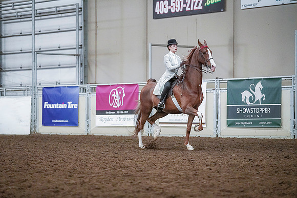Spring Fling - Saturday - April 20, 2019  -  00538