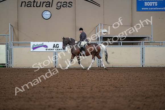 2019 Morgan Horse Show - Aug 30, 2019 - 16162
