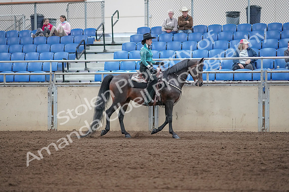 2019 Morgan Horse Show - Sept 01, 2019 - 07106