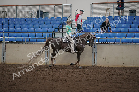 2019 Morgan Horse Show - Aug 30, 2019 - 26159